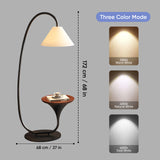 Skypair Modern Floor Lamp