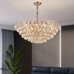 Erlen  LED Smart Voice Assist Chandelier