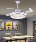 Leisure Fan Chandelier