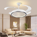 Leisure Fan Chandelier